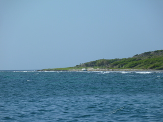 Filename=P1060578.JPG
Filesize=4931KiB
Dimensions=4320x3240
Date added=Sep 15, 2019 P1060578.JPG