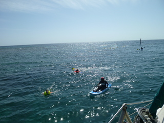 Filename=P1060584.JPG
Filesize=5637KiB
Dimensions=4320x3240
Date added=Sep 15, 2019 P1060584.JPG