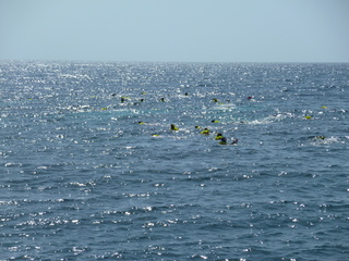 Filename=P1060585.JPG
Filesize=5079KiB
Dimensions=4320x3240
Date added=Sep 15, 2019 P1060585.JPG