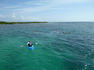 Filename=P1060586.JPG
Filesize=5222KiB
Dimensions=4320x3240
Date added=Sep 15, 2019 P1060586.JPG