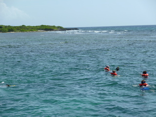 Filename=P1060587.JPG
Filesize=5013KiB
Dimensions=4320x3240
Date added=Sep 15, 2019 P1060587.JPG