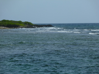 Filename=P1060588.JPG
Filesize=4846KiB
Dimensions=4320x3240
Date added=Sep 15, 2019 P1060588.JPG