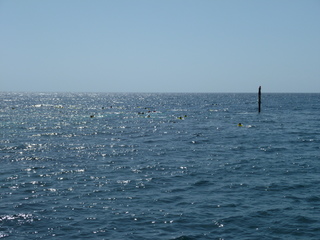 Filename=P1060589.JPG
Filesize=4932KiB
Dimensions=4320x3240
Date added=Sep 15, 2019 P1060589.JPG