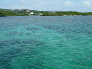 Filename=P1060590.JPG
Filesize=5664KiB
Dimensions=4320x3240
Date added=Sep 15, 2019 P1060590.JPG