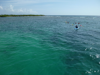 Filename=P1060591.JPG
Filesize=5420KiB
Dimensions=4320x3240
Date added=Sep 15, 2019 P1060591.JPG