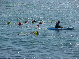 Filename=P1060592.JPG
Filesize=5267KiB
Dimensions=4320x3240
Date added=Sep 15, 2019 P1060592.JPG