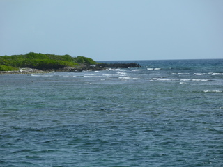 Filename=P1060594.JPG
Filesize=4834KiB
Dimensions=4320x3240
Date added=Sep 15, 2019 P1060594.JPG