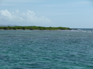 Filename=P1060595.JPG
Filesize=4848KiB
Dimensions=4320x3240
Date added=Sep 15, 2019 P1060595.JPG