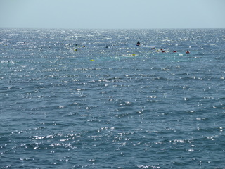 Filename=P1060597.JPG
Filesize=5272KiB
Dimensions=4320x3240
Date added=Sep 15, 2019 P1060597.JPG