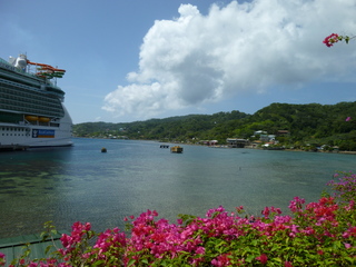 Filename=P1060603.JPG
Filesize=5742KiB
Dimensions=4320x3240
Date added=Sep 15, 2019 P1060603.JPG