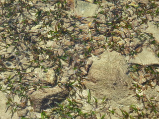 Filename=P1060606.JPG
Filesize=5288KiB
Dimensions=4320x3240
Date added=Sep 15, 2019 P1060606.JPG