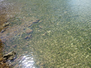 Filename=P1060612.JPG
Filesize=5725KiB
Dimensions=4320x3240
Date added=Sep 15, 2019 P1060612.JPG