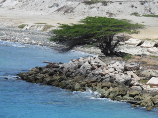 Filename=DSCN5147.JPG
Filesize=6856KiB
Dimensions=4608x3456
Date added=Apr 10, 2025 DSCN5147.JPG