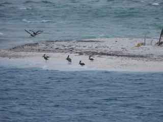 Filename=DSCN5155.JPG
Filesize=7270KiB
Dimensions=4608x3456
Date added=Apr 10, 2025 DSCN5155.JPG