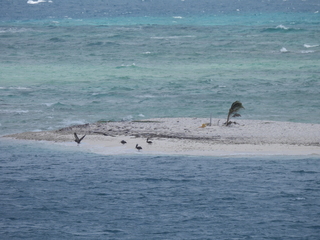 Filename=DSCN5156.JPG
Filesize=7293KiB
Dimensions=4608x3456
Date added=Apr 10, 2025 DSCN5156.JPG