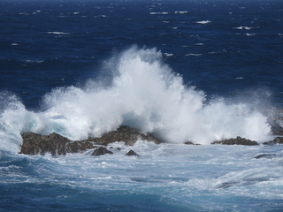 Filename=DSCN5183.JPG
Filesize=6470KiB
Dimensions=4608x3456
Date added=Apr 10, 2025 DSCN5183.JPG