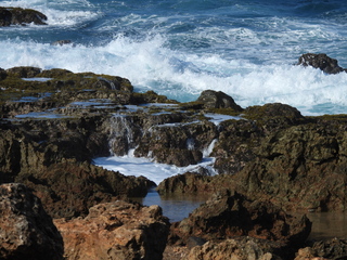 Filename=DSCN5194.JPG
Filesize=7065KiB
Dimensions=4608x3456
Date added=Apr 10, 2025 DSCN5194.JPG