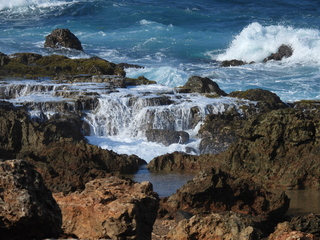 Filename=DSCN5201.JPG
Filesize=7147KiB
Dimensions=4608x3456
Date added=Apr 10, 2025 DSCN5201.JPG