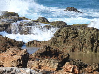 Filename=DSCN5202.JPG
Filesize=7140KiB
Dimensions=4608x3456
Date added=Apr 10, 2025 DSCN5202.JPG