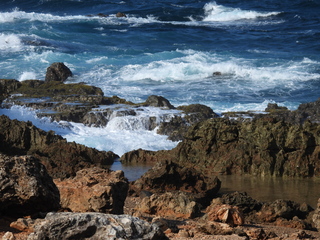 Filename=DSCN5203.JPG
Filesize=7001KiB
Dimensions=4608x3456
Date added=Apr 10, 2025 DSCN5203.JPG