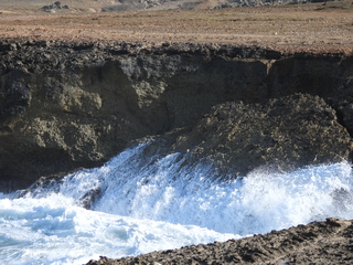 Filename=DSCN5210.JPG
Filesize=7361KiB
Dimensions=4608x3456
Date added=Apr 10, 2025 DSCN5210.JPG