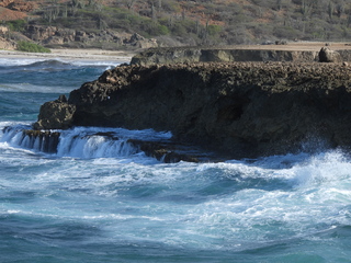 Filename=DSCN5221.JPG
Filesize=7203KiB
Dimensions=4608x3456
Date added=Apr 10, 2025 DSCN5221.JPG