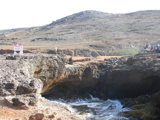 Filename=DSCN5226.JPG
Filesize=6927KiB
Dimensions=4608x3456
Date added=Apr 10, 2025 DSCN5226.JPG