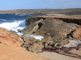 Filename=DSCN5228.JPG
Filesize=7219KiB
Dimensions=4608x3456
Date added=Apr 10, 2025 DSCN5228.JPG