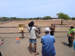 Filename=DSCN5233.JPG
Filesize=6908KiB
Dimensions=4608x3456
Date added=Apr 10, 2025 DSCN5233.JPG