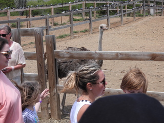 Filename=DSCN5235.JPG
Filesize=7319KiB
Dimensions=4608x3456
Date added=Apr 10, 2025 DSCN5235.JPG