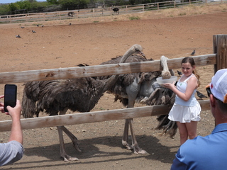 Filename=DSCN5236.JPG
Filesize=7205KiB
Dimensions=4608x3456
Date added=Apr 10, 2025 DSCN5236.JPG