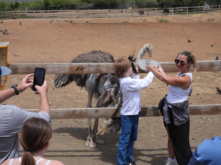 Filename=DSCN5238.JPG
Filesize=6482KiB
Dimensions=4608x3456
Date added=Apr 10, 2025 DSCN5238.JPG