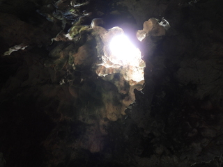 Filename=DSCN5240.JPG
Filesize=5318KiB
Dimensions=4608x3456
Date added=Apr 10, 2025 DSCN5240.JPG