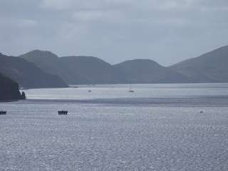 Filename=DSCN5294.JPG
Filesize=6642KiB
Dimensions=4608x3456
Date added=Apr 10, 2025 DSCN5294.JPG