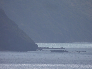 Filename=DSCN5303.JPG
Filesize=5915KiB
Dimensions=4608x3456
Date added=Apr 10, 2025 DSCN5303.JPG