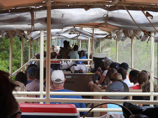 Filename=DSCN5311.JPG
Filesize=7526KiB
Dimensions=4608x3456
Date added=Apr 10, 2025 DSCN5311.JPG