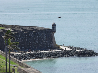 Filename=DSCN5348.JPG
Filesize=6735KiB
Dimensions=4608x3456
Date added=Apr 10, 2025 DSCN5348.JPG