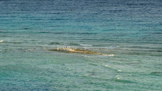 Filename=P1100662.JPG
Filesize=4540KiB
Dimensions=4320x2432
Date added=Apr 10, 2025 P1100662.JPG