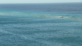 Filename=P1100663.JPG
Filesize=4706KiB
Dimensions=4320x2432
Date added=Apr 10, 2025 P1100663.JPG