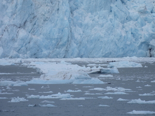 Filename=DSCN5644.JPG
Filesize=6393KiB
Dimensions=4608x3456
Date added=May 12, 2025 DSCN5644.JPG