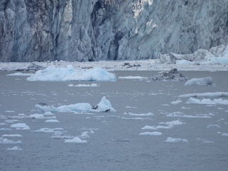 Filename=DSCN5646.JPG
Filesize=6695KiB
Dimensions=4608x3456
Date added=May 12, 2025 DSCN5646.JPG