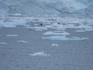 Filename=DSCN5649.JPG
Filesize=6766KiB
Dimensions=4608x3456
Date added=May 12, 2025 DSCN5649.JPG