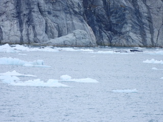 Filename=DSCN5652.JPG
Filesize=6402KiB
Dimensions=4608x3456
Date added=May 12, 2025 DSCN5652.JPG