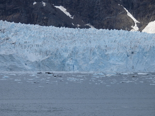 Filename=DSCN5669.JPG
Filesize=6498KiB
Dimensions=4608x3456
Date added=May 12, 2025 DSCN5669.JPG