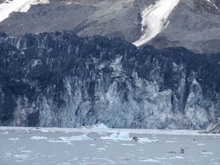 Filename=DSCN5677.JPG
Filesize=7303KiB
Dimensions=4608x3456
Date added=May 12, 2025 DSCN5677.JPG