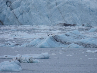 Filename=DSCN5694.JPG
Filesize=6288KiB
Dimensions=4608x3456
Date added=May 12, 2025 DSCN5694.JPG