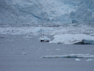 Filename=DSCN5696.JPG
Filesize=6235KiB
Dimensions=4608x3456
Date added=May 12, 2025 DSCN5696.JPG