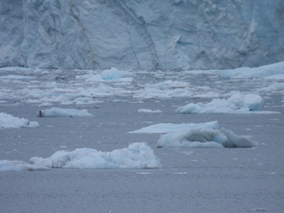 Filename=DSCN5697.JPG
Filesize=6343KiB
Dimensions=4608x3456
Date added=May 12, 2025 DSCN5697.JPG