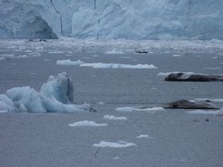 Filename=DSCN5702.JPG
Filesize=6120KiB
Dimensions=4608x3456
Date added=May 12, 2025 DSCN5702.JPG