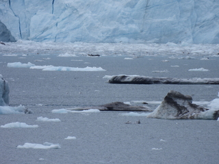 Filename=DSCN5703.JPG
Filesize=7136KiB
Dimensions=4608x3456
Date added=May 12, 2025 DSCN5703.JPG